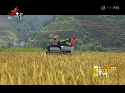 新闻晚高峰20220805