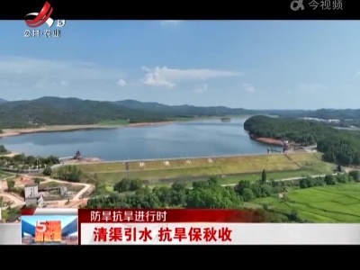 五哥帮忙团20220831