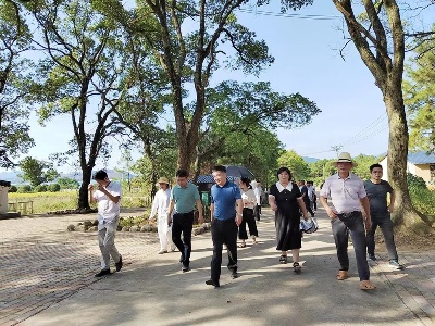 吉安市永新县埠前镇组织人大代表外出参观学习