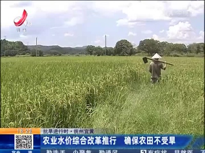 【抗旱进行时·抚州宜黄】农业水价综合改革推行 确保农田不受旱