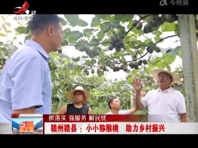 【抓落实 强服务 解民忧】赣州赣县：小小猕猴桃 助力乡村振兴