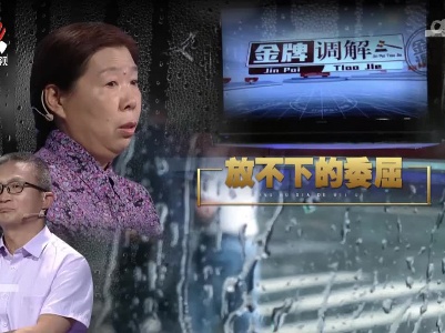 金牌调解20220812 放不下的委屈