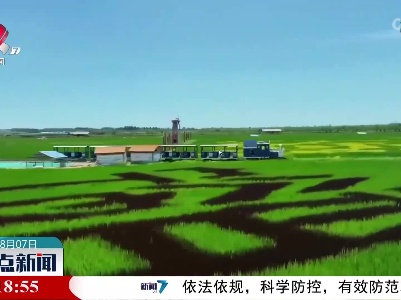 来宁夏稻渔空间 观赏大地上的画作
