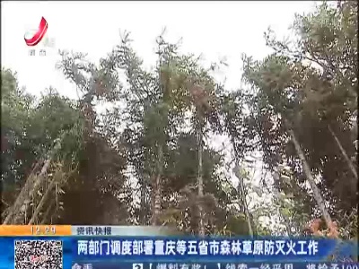两部门调度部署重庆等五省市森林草原防灭火工作