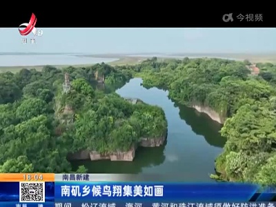 南昌新建：南矶乡候鸟翔集美如画