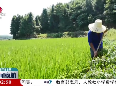 【防旱抗旱进行时】省水利部门调度水库增蓄水量保抗旱