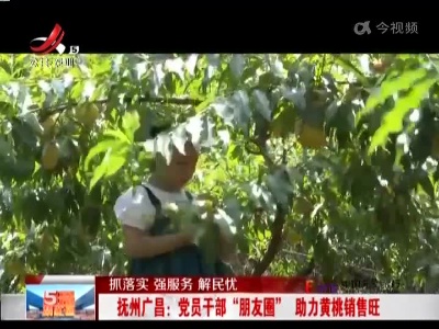 【抓落实 强服务 解民忧】抚州广昌：党员干部“朋友圈” 助力黄桃销售旺