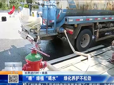 【抗旱进行时】南昌：“喂”绿植“喝水” 绿化养护不松劲