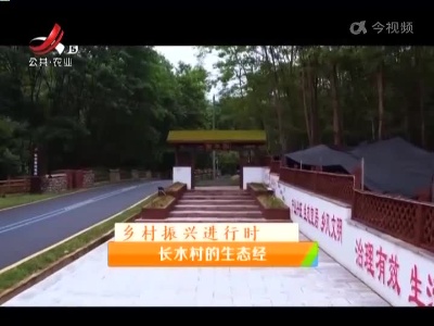 稻花香里20220810 乡村振兴进行时——长水村的生态经