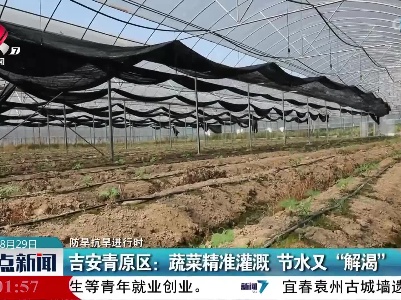 【防旱抗旱进行时】吉安青原区：蔬菜精准灌溉 节水又“解渴”