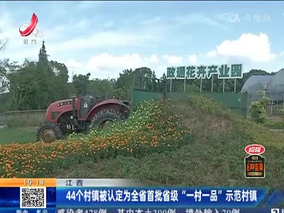 江西：44个村镇被认定为全省首批省级“一村一品”示范村镇