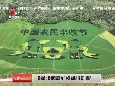 景德镇：巨幅稻田画为“中国农民丰收节”添彩