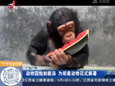 广东广州：动物园炮制靓汤 为明星动物花式解暑