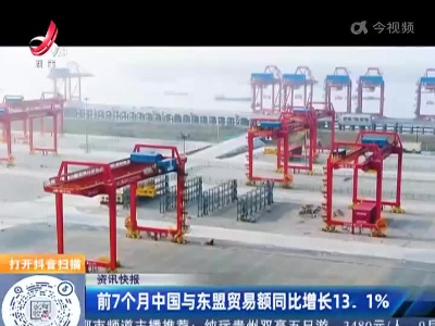 前7个月中国与东盟贸易额同比增长13.1%