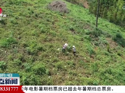 分宜：山地西瓜喊渴 当地引水上山