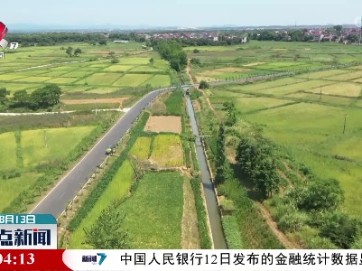 整点新闻20220813 12:00