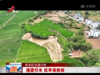 【防旱抗旱进行时】清渠引水 抗旱保秋收
