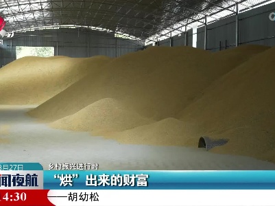 【乡村振兴进行时】“烘”出来的财富