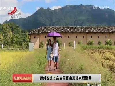 赣州安远：东生围百亩富硒水稻飘香