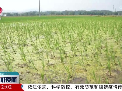遂川：电力服务进田间 抗旱保电助灌溉