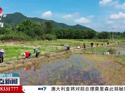 整点新闻20220816 14:00