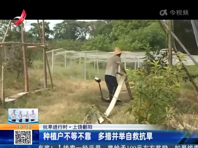 【抗旱进行时】上饶鄱阳：种植户不等不靠 多措并举自救抗旱
