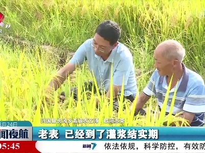 【防旱抗旱进行时】兴国：党员志愿者服务抗旱保秋收