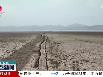 鄱阳湖水位跌破10米 明代千眼桥提前露真容