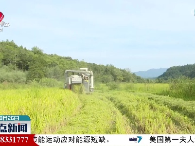 整点新闻20220826 16:00