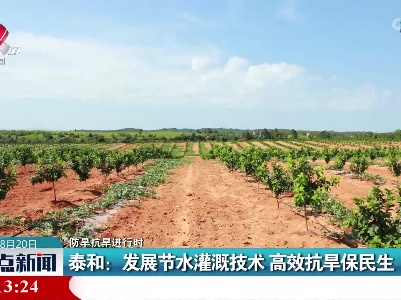 【防旱抗旱进行时】泰和：发展节水灌溉技术 高效抗旱保民生