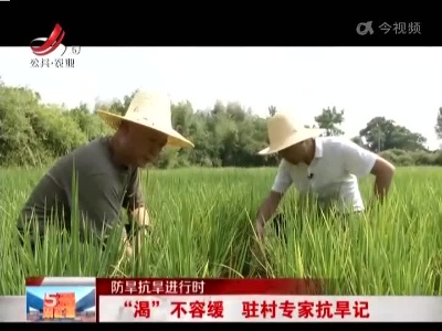 【防旱抗旱进行时】“渴”不容缓 驻村专家抗旱记
