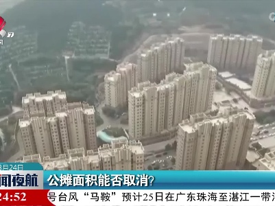 公摊面积能否取消？
