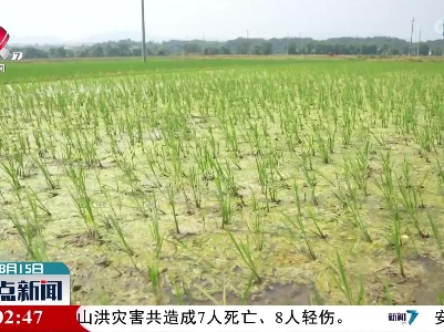 遂川：电力服务进田间 抗旱保电助灌溉