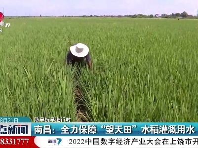 【防旱抗旱进行时】南昌：全力保障“望天田”水稻灌溉用水