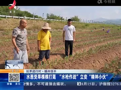 【抗旱进行时】赣州信丰：水葱受旱棵棵打蔫 “水枪作战”立变“精神小伙”
