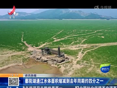 鄱阳湖通江水体面积缩减到去年同期约四分之一