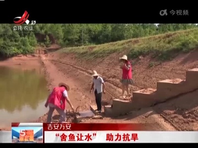 五哥帮忙团20220822