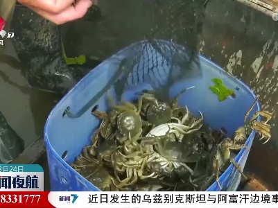 新疆博斯腾湖初秋水美螃蟹肥