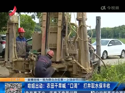 都市现场·午间版20220823
