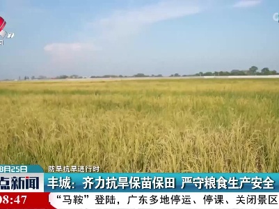 整点新闻20220825 12:00