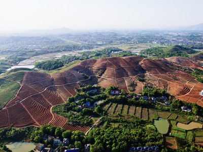 江西湘东：漫漫红土为底色 绘出乡村振兴图