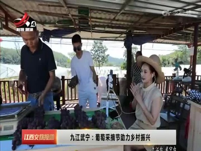 九江武宁：葡萄采摘节助力乡村振兴