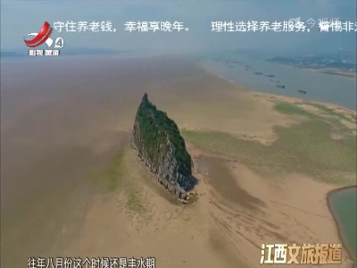 九江：鄱阳湖湖口鞋山水域现湖底草原