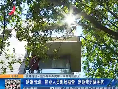 都市现场·午间版20220812