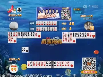 谁是赢家20220820