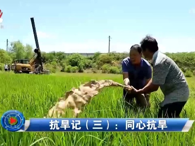 社会传真20220827 抗旱记（三）：同心抗旱