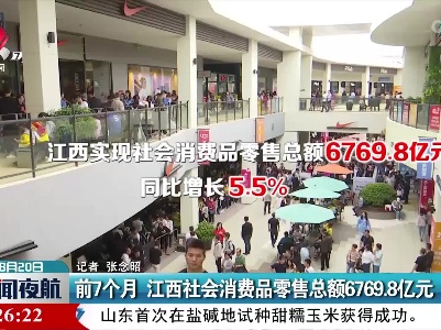 前7个月 江西社会消费品零售总额6769.8亿元