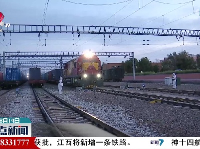 整点新闻20220814 12:00