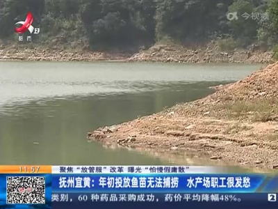【聚焦“放管服”改革 曝光“怕慢假庸散”】抚州宜黄：年初投放鱼苗无法捕捞 水产场职工很发愁