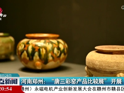 河南郑州：“唐三彩窑产品比较展”开展